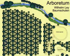 Baumschule, Ley, Meckenheim, Straßenbäume, Alleebäume, Arboretum Plan
